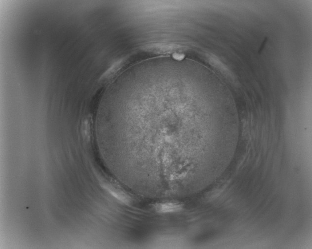 X0000065970165200603031138