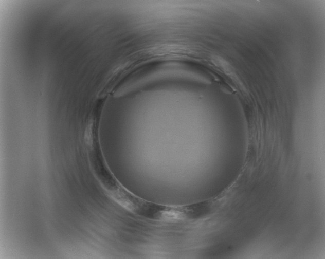 X0000065970167200603031138