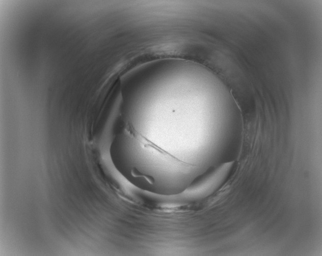 X0000065970168200603031138