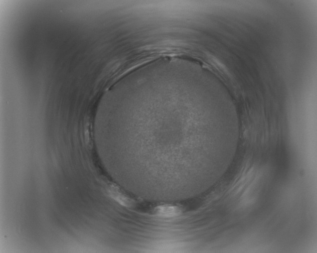 X0000065970169200603031138