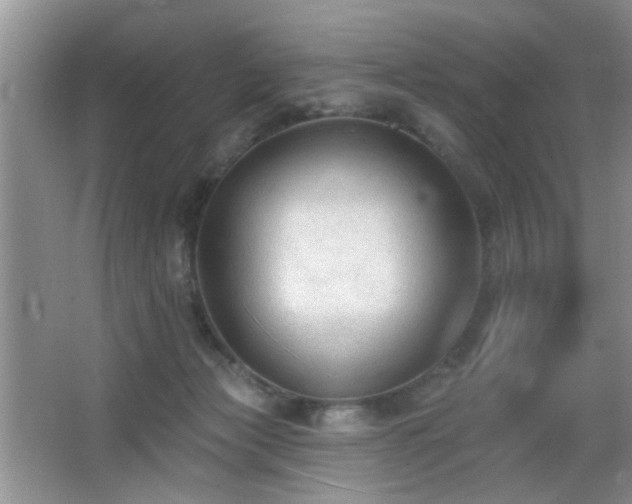 X0000065970173200603031138