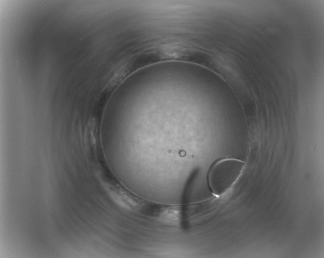 X0000065970174200603031138