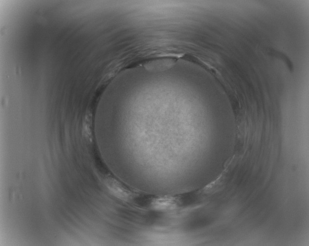 X0000065970175200603031138