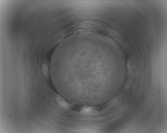 X0000065970177200603031138