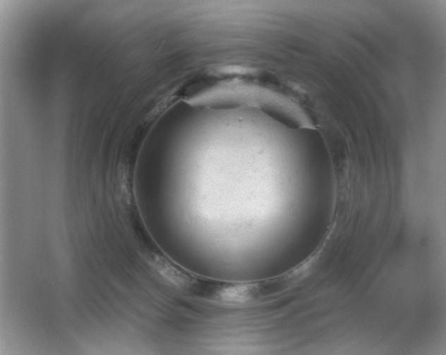 X0000065970178200603031138