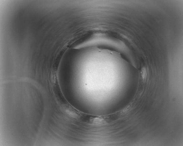 X0000065970180200603031138