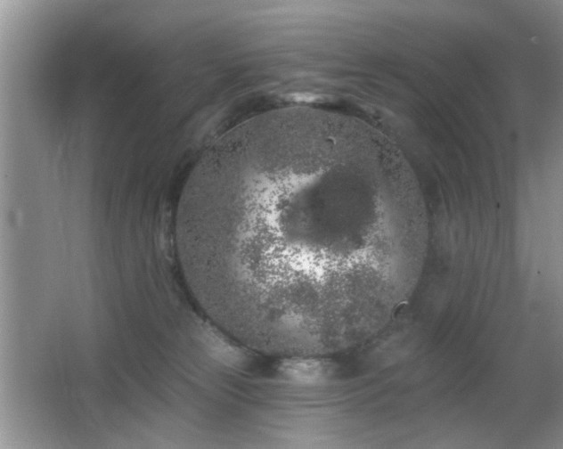 X0000065970181200603031138