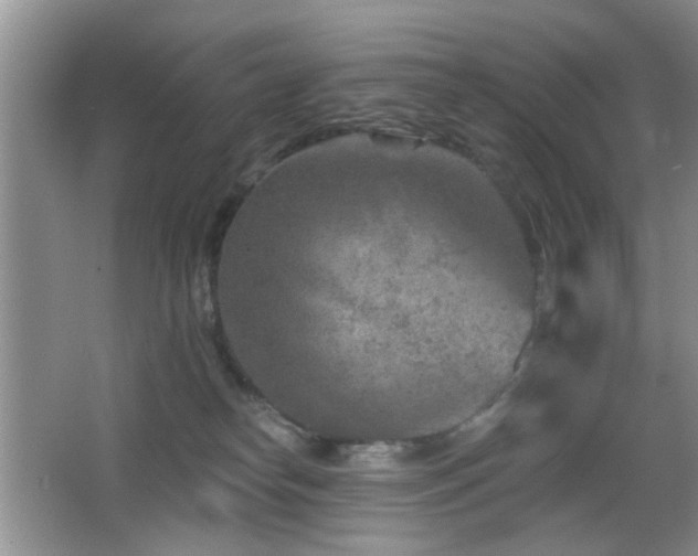 X0000065970182200603031138