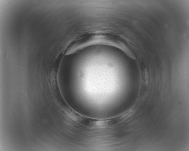 X0000065970184200603031138