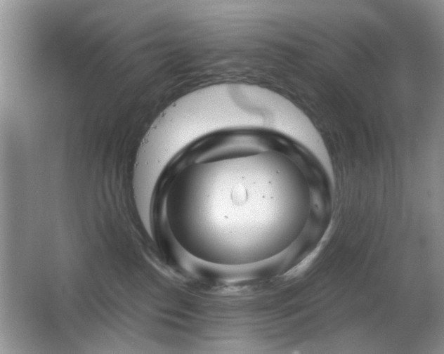 X0000065970186200603031138