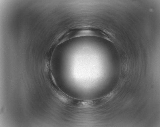 X0000065970188200603031138