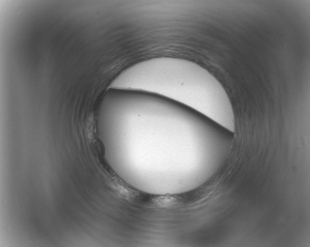 X0000065970189200603031138