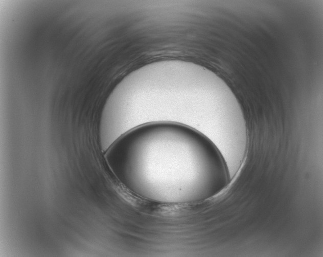 X0000065970190200603031138