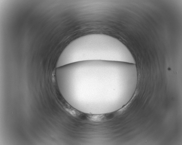 X0000065970191200603031138