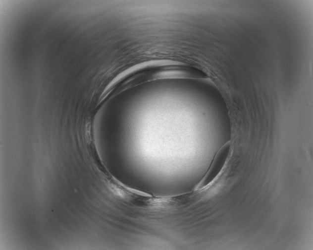 X0000065970192200603031138