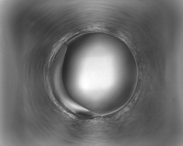 X0000065970193200603031137