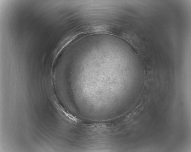 X0000065970194200603031137