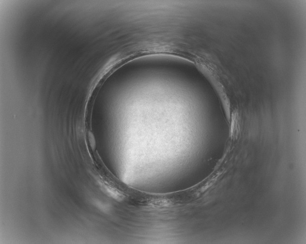 X0000065970195200603031137