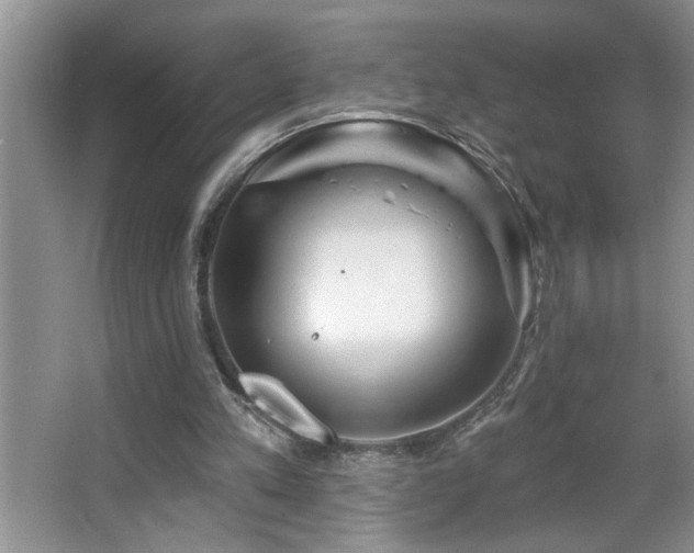 X0000065970197200603031137