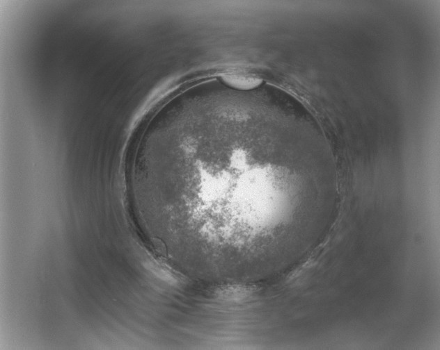 X0000065970198200603031137