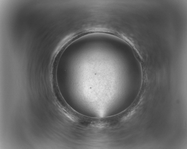 X0000065970199200603031137