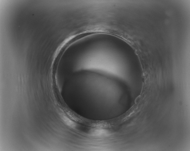 X0000065970200200603031137