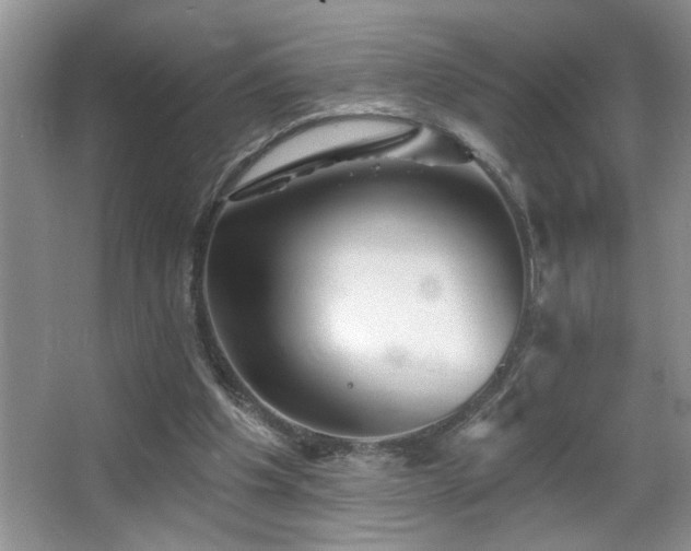 X0000065970201200603031137