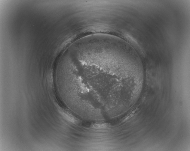 X0000065970202200603031137