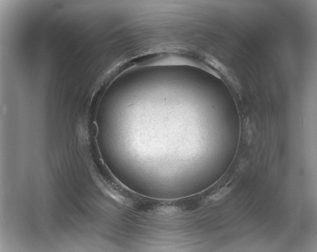 X0000065970203200603031137