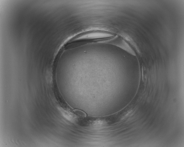 X0000065970204200603031137