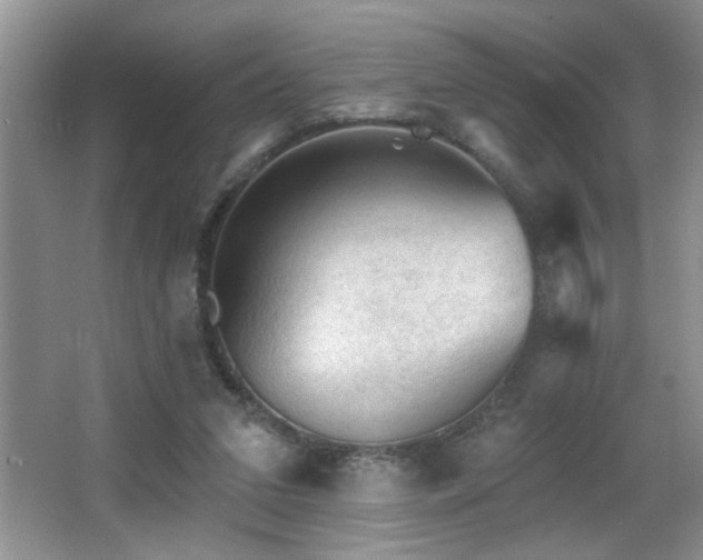 X0000065970207200603031137