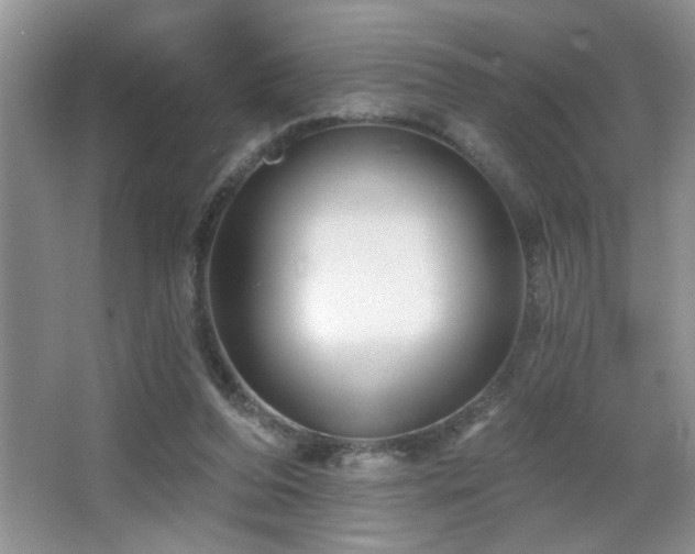 X0000065970208200603031137