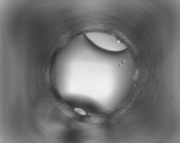 X0000065970209200603031137