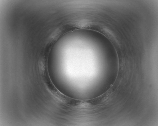 X0000065970210200603031137