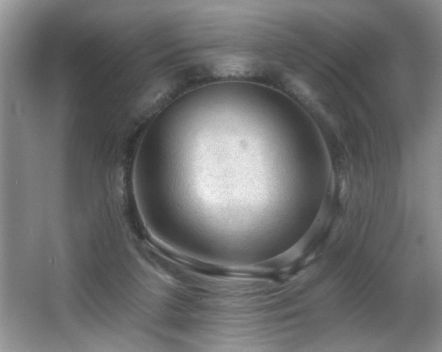 X0000065970211200603031137