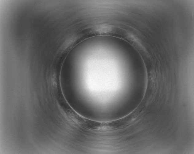 X0000065970212200603031137