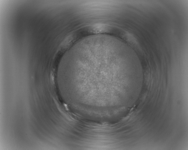 X0000065970214200603031137