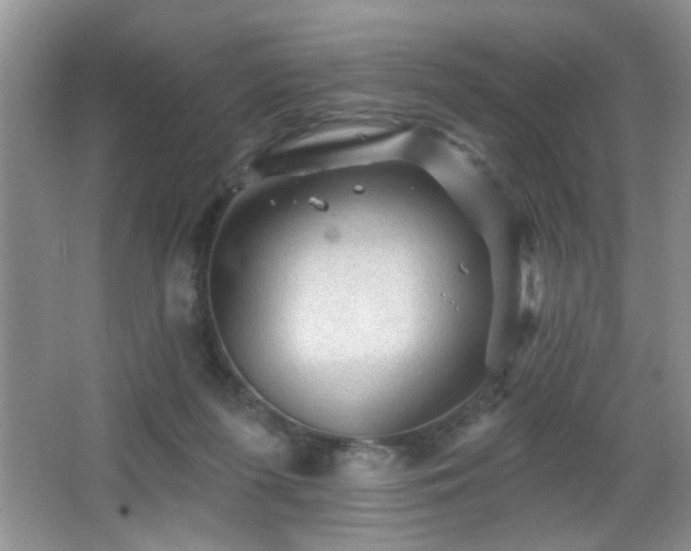 X0000065970215200603031137