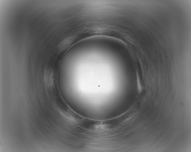 X0000065970216200603031137