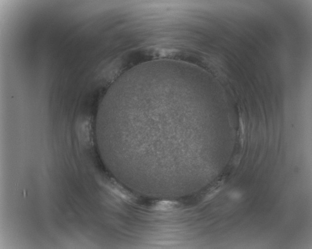 X0000065970222200603031137