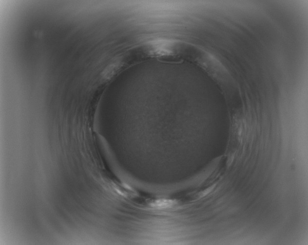 X0000065970223200603031137