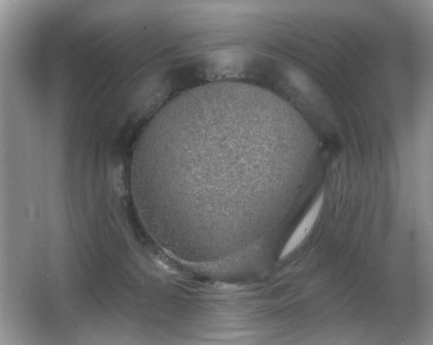 X0000065970224200603031137