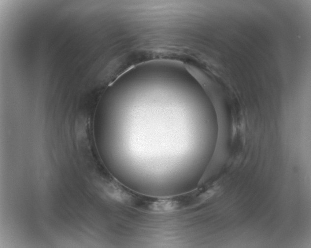 X0000065970225200603031137