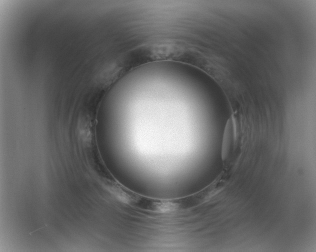 X0000065970226200603031137