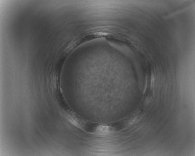 X0000065970227200603031137