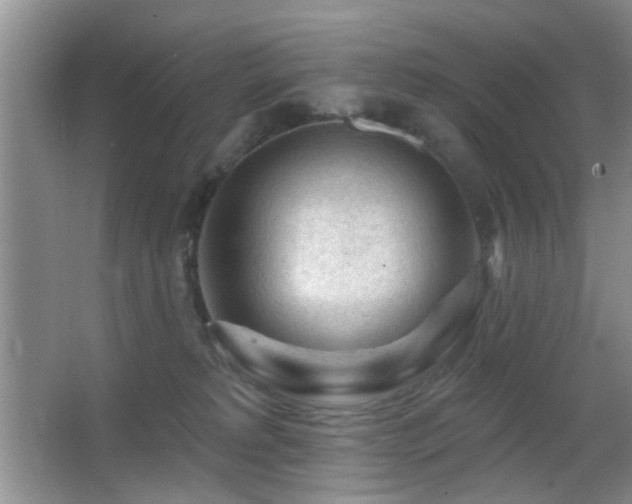 X0000065970229200603031137