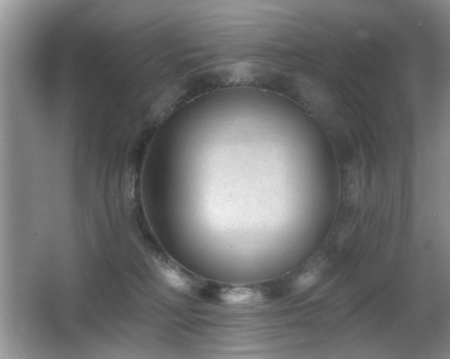 X0000065970230200603031137