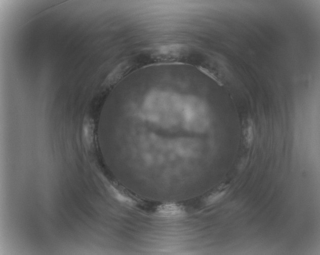 X0000065970231200603031137