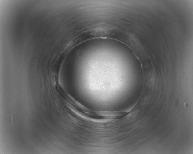 X0000065970232200603031137