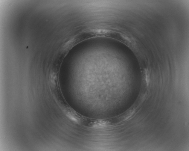 X0000065970235200603031137